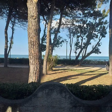 Quadruple In - Just A Few Meters From The Sea