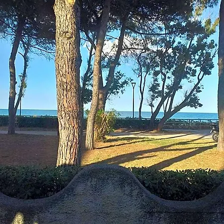 Quadruple In - Just A Few Meters From The Sea Pineto