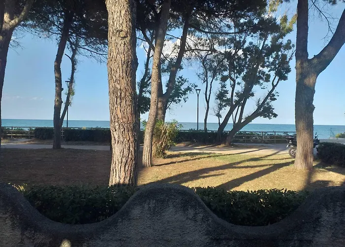 Quadruple In - Just A Few Meters From The Sea